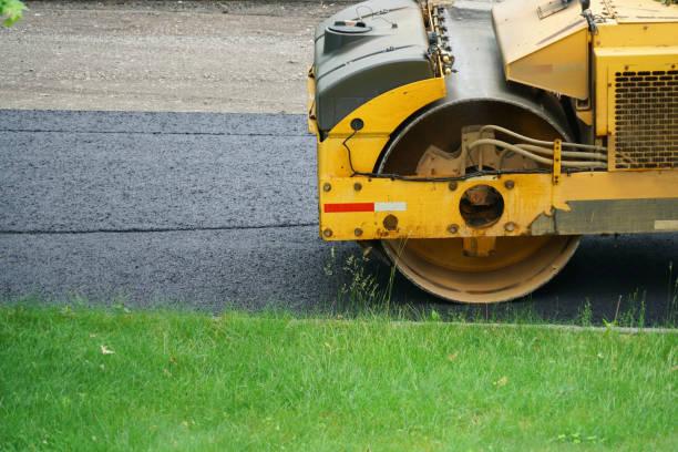 Best Driveway Paver Repairs and Restoration in Gasport, NY